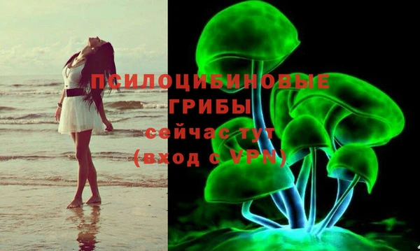 apvp Абаза