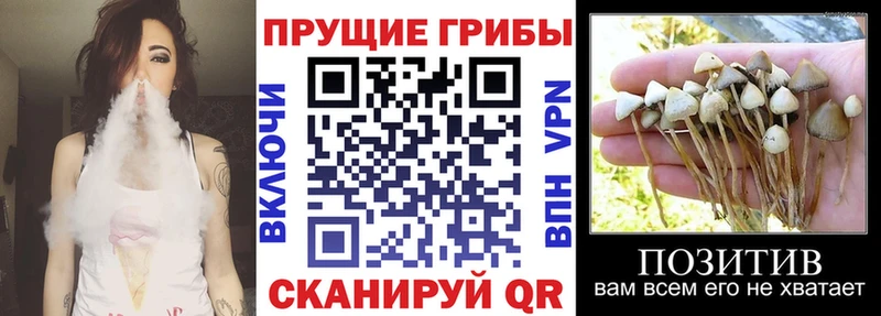 мега онион  хочу наркоту  Псков  Галлюциногенные грибы Magic Shrooms 